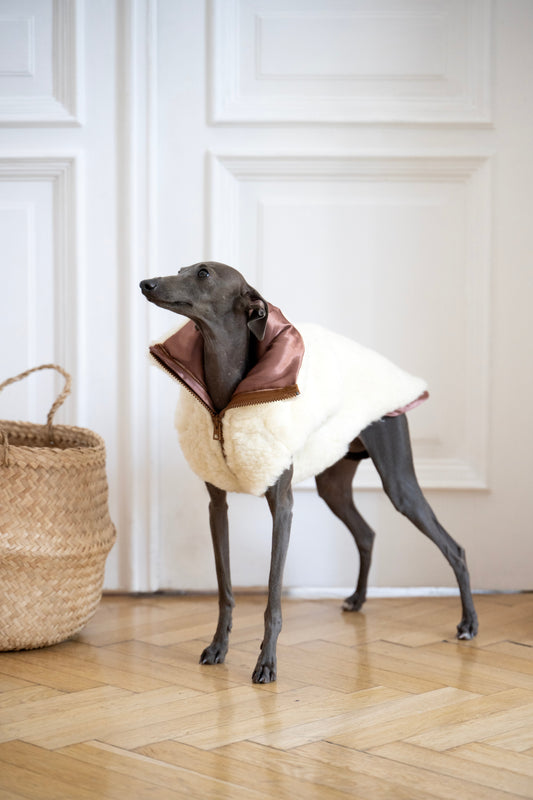 Gilet en laine pour chien - Blanc-0