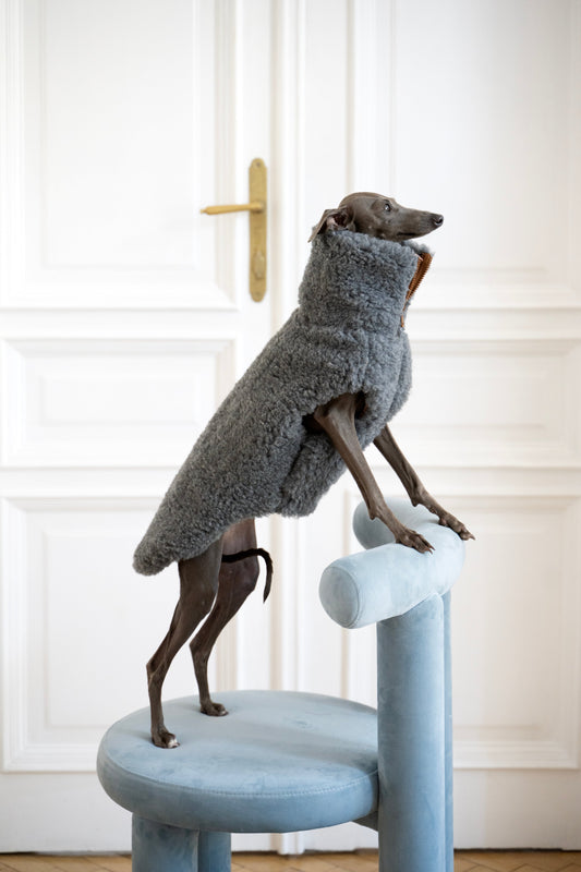 Gilet pour chien en laine - Gris foncé-0