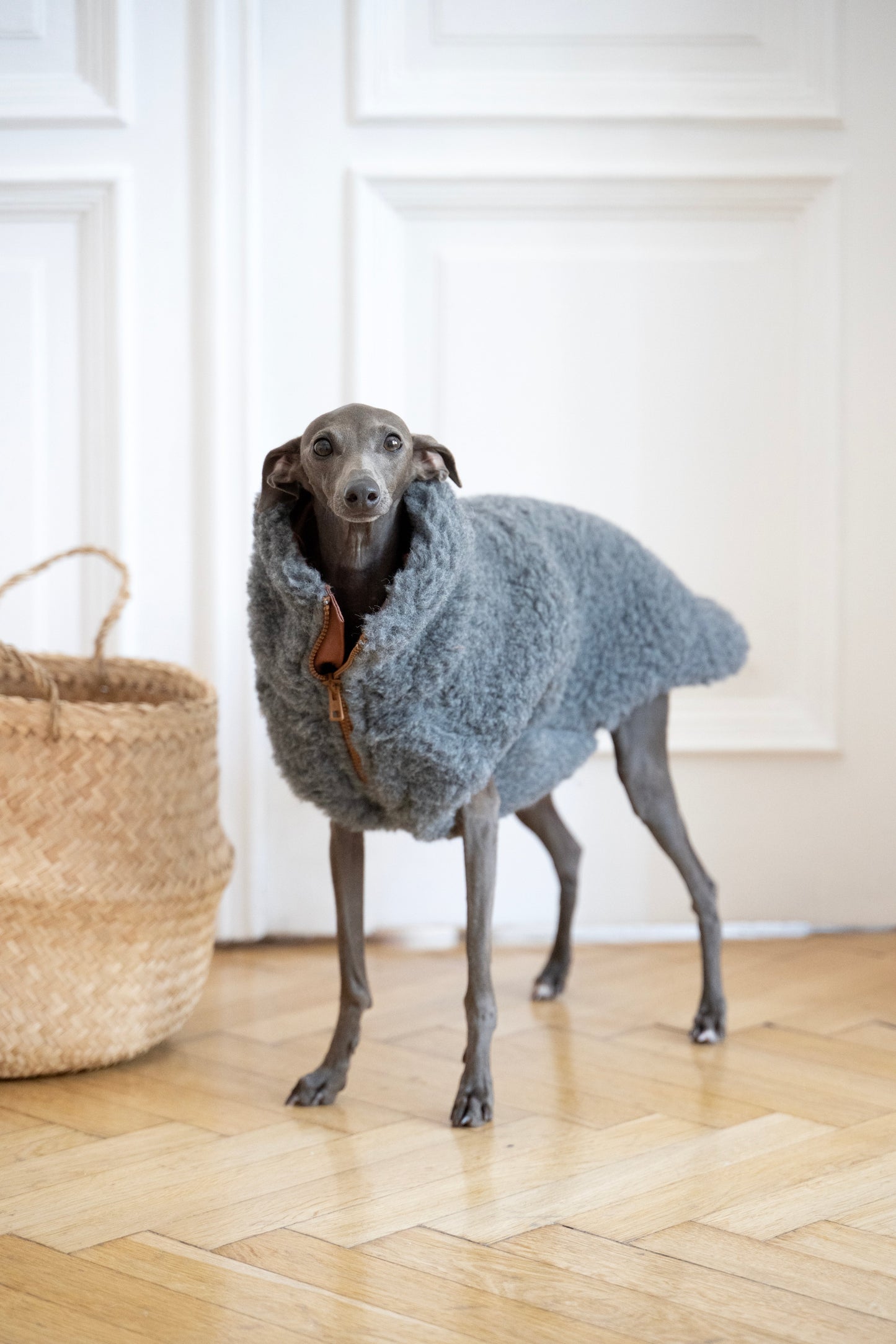 Gilet pour chien en laine - Gris foncé-2