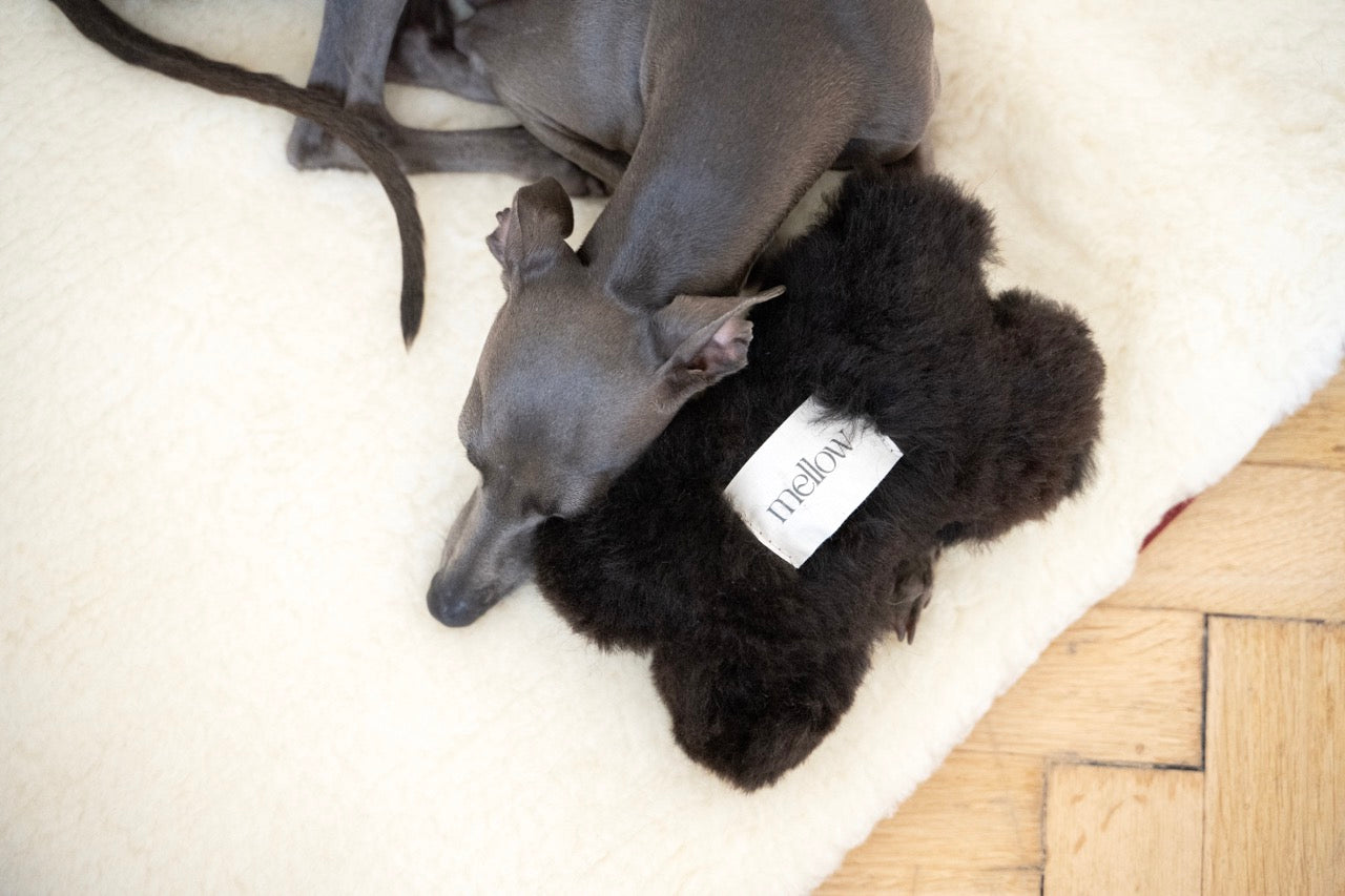 Tapis carré ou rectangulaire en laine naturelle pour animaux de compagnie - Blanc-4