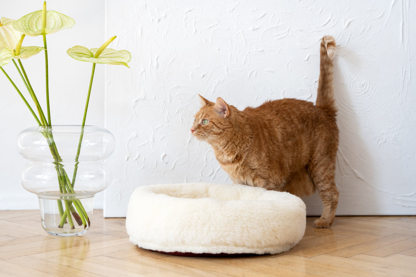 Lit rond en laine naturelle pour animaux de compagnie - Blanc