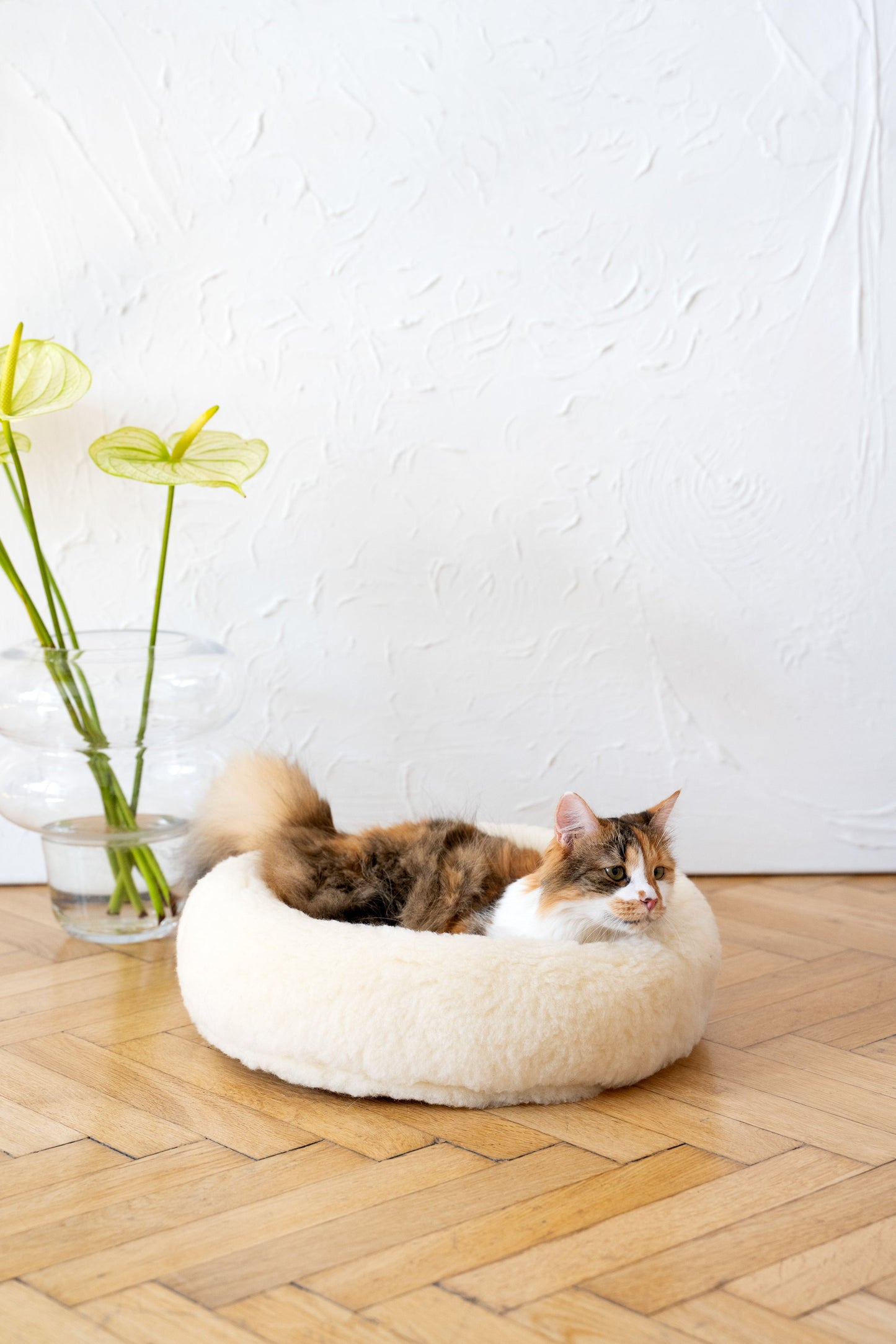 Lit rond en laine naturelle pour animaux de compagnie - Blanc