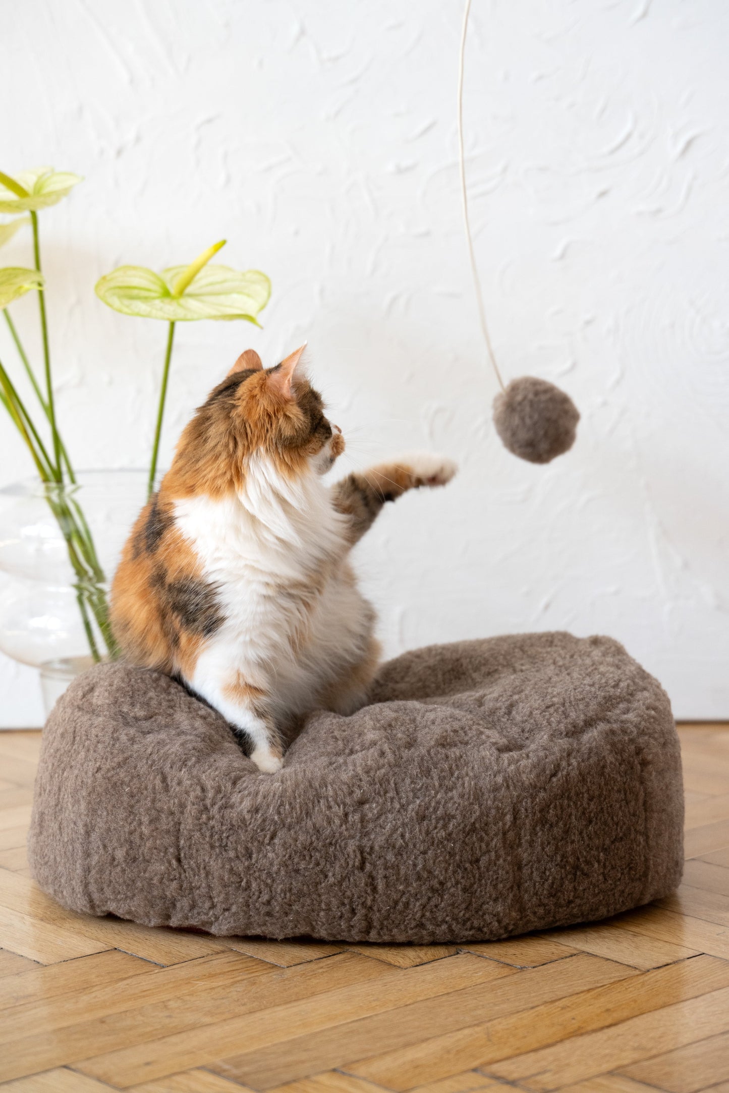 Natuurlijk kattenspeelgoed van schapenvacht: Ball