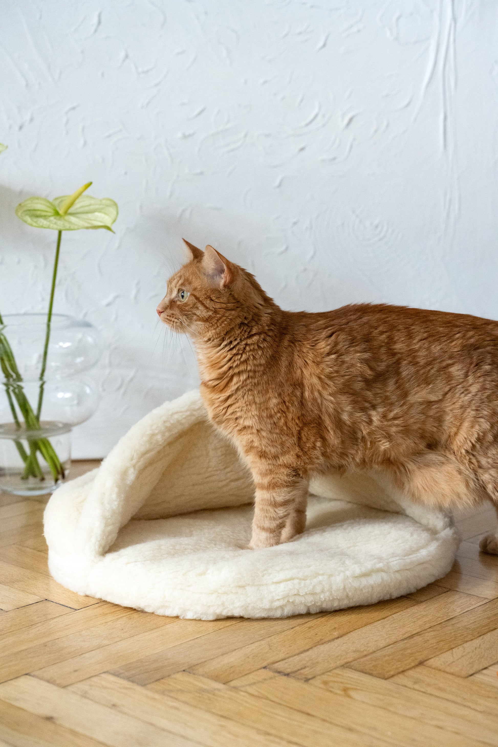 Grotte pour animaux de compagnie en laine naturelle - Blanc-2