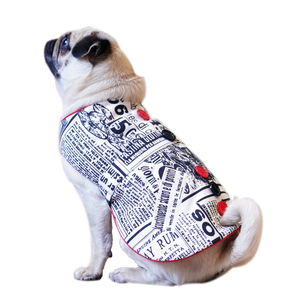 Paparazzi par Doggy Doo Little-1