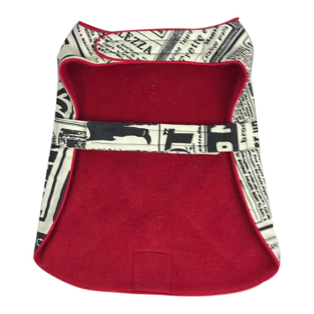 Paparazzi par Doggy Doo Little-2