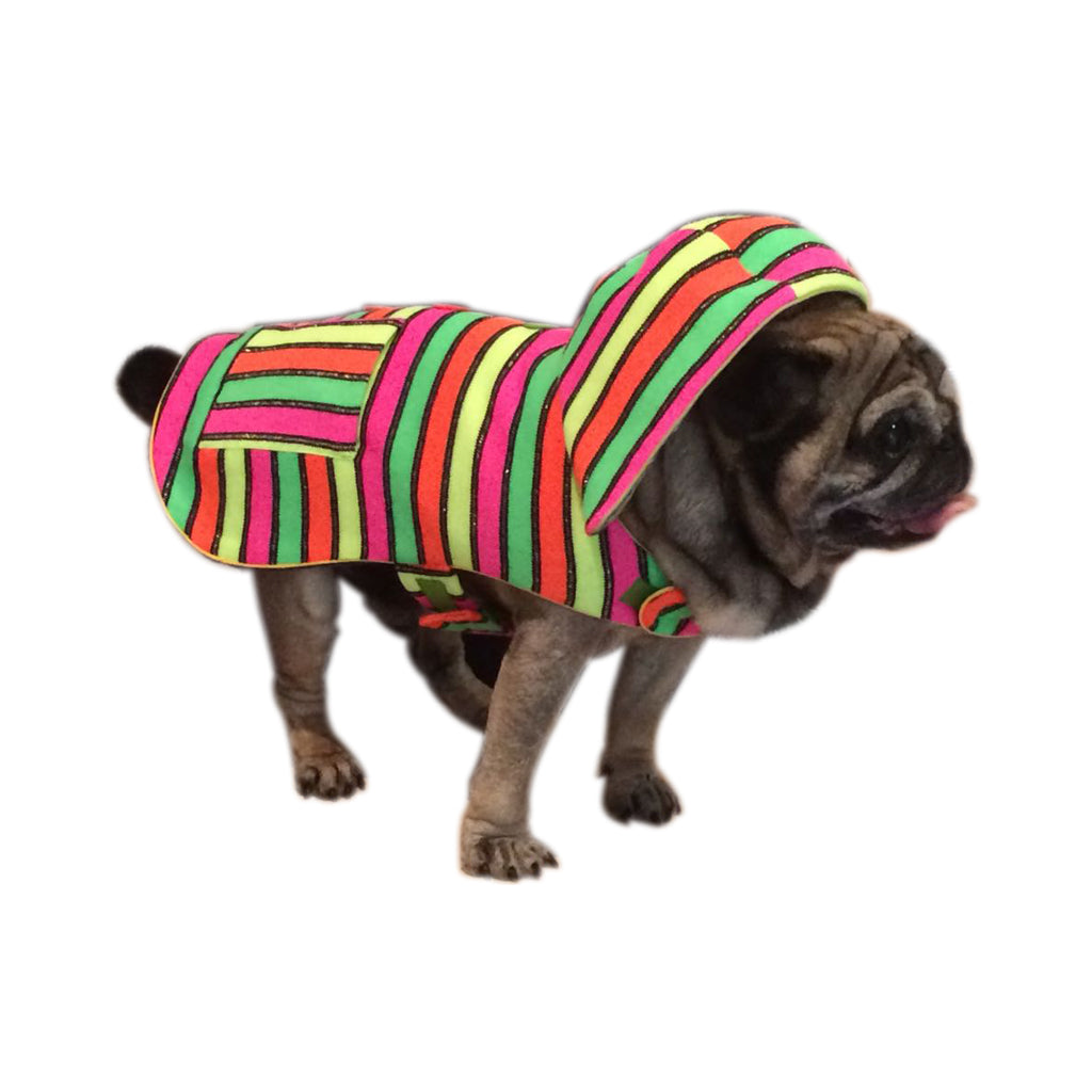 Arc-en-ciel par Doggy Doo Little-1