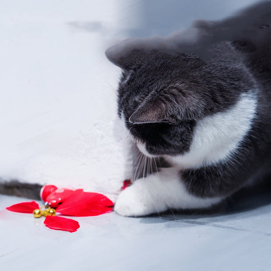 Ensemble de jeu intelligent pour chat-1