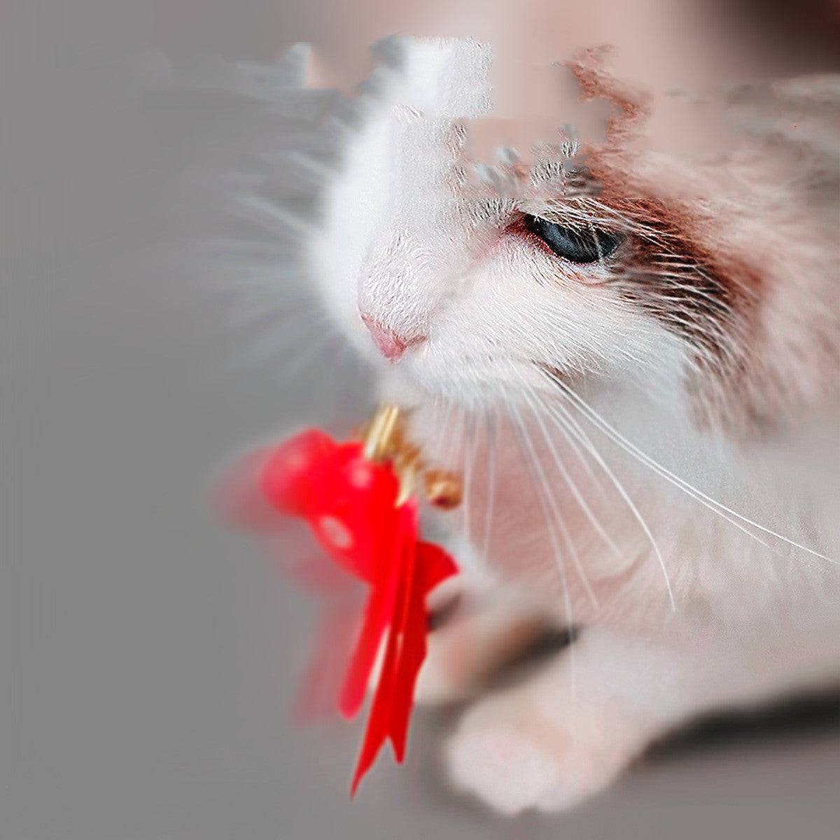 Slimme Kat Speeltijd Set-2