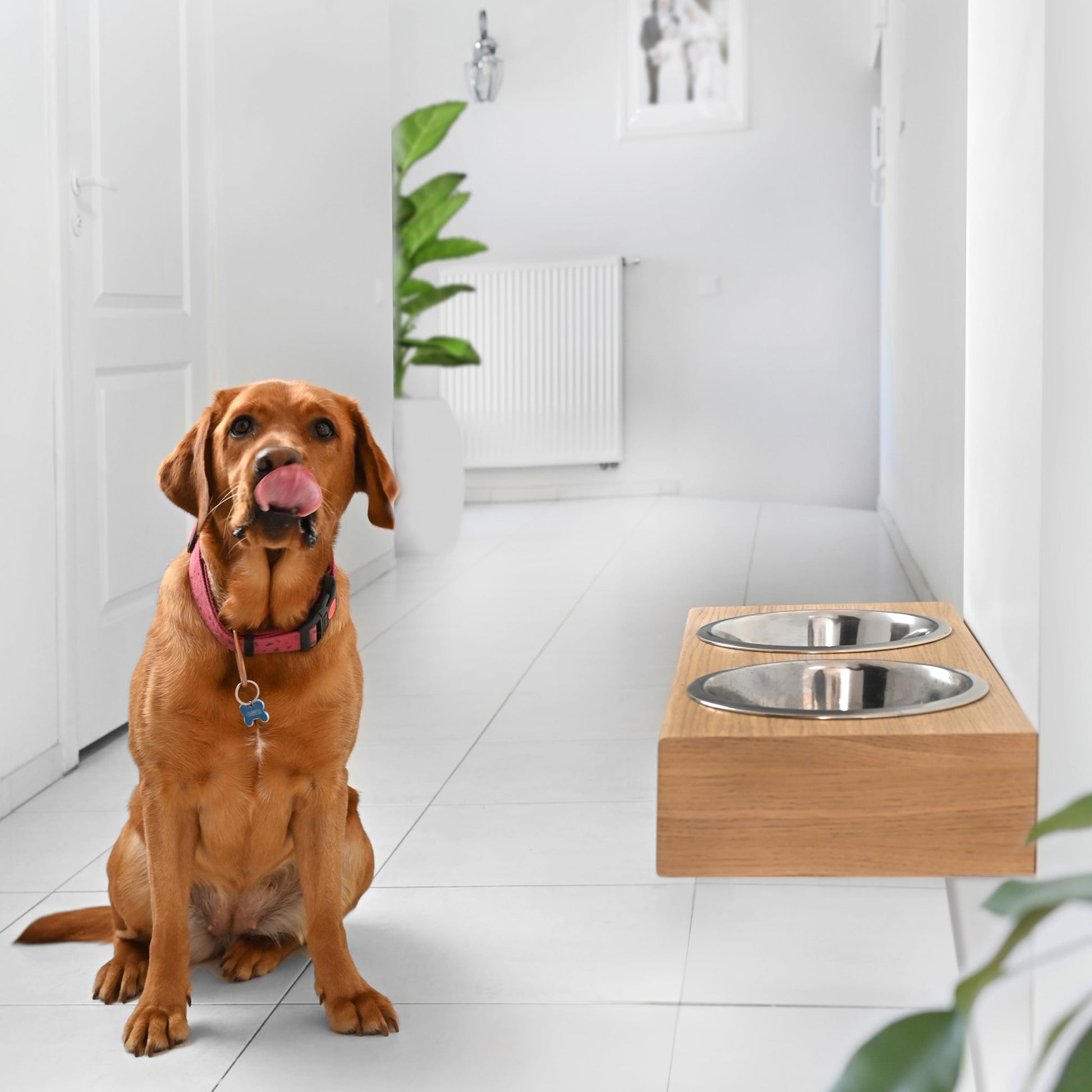 Hangende houten hondenvoerbak, gemonteerd voerstation voor huisdieren, herdersvoer stand-4