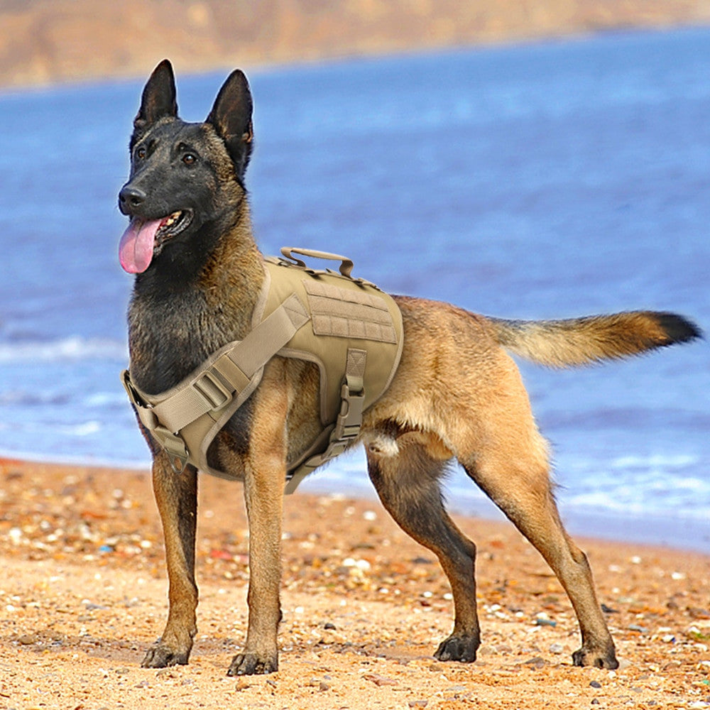 Harnais tactique Chien d’entraînement militaire Vest-4