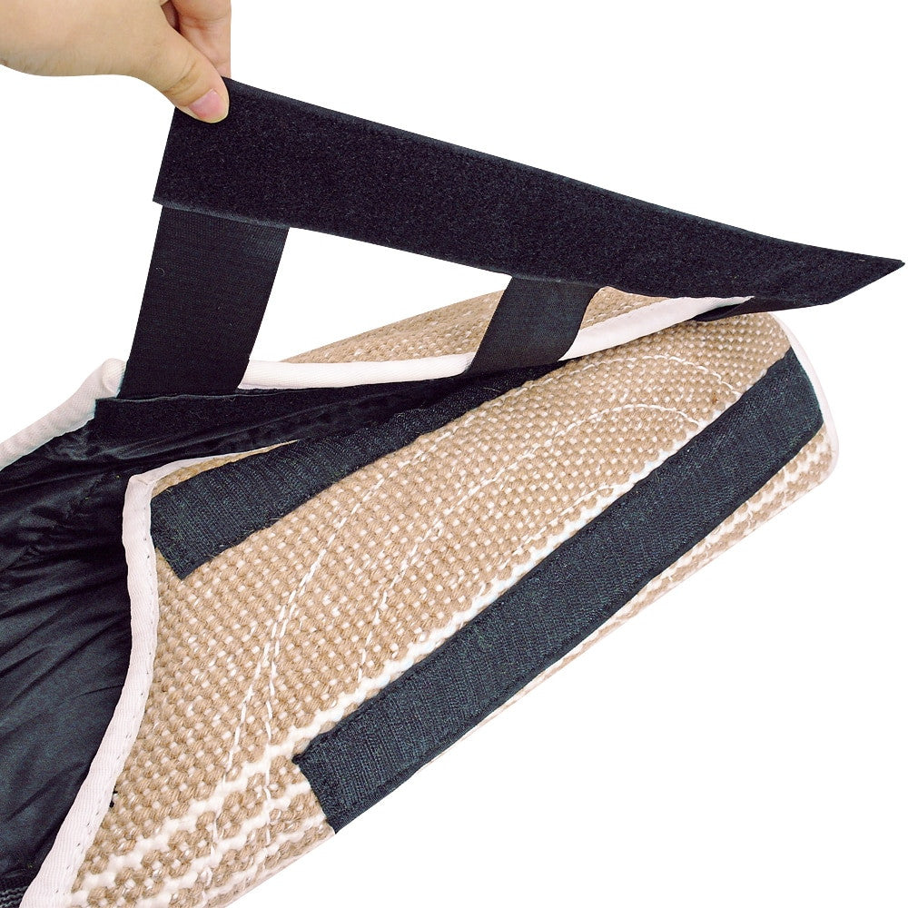 Chien Sleeves Tugs Training-5