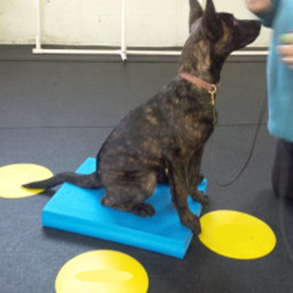 Échelle d’équilibre spécifique aux animaux de compagnie Soft Tread-4