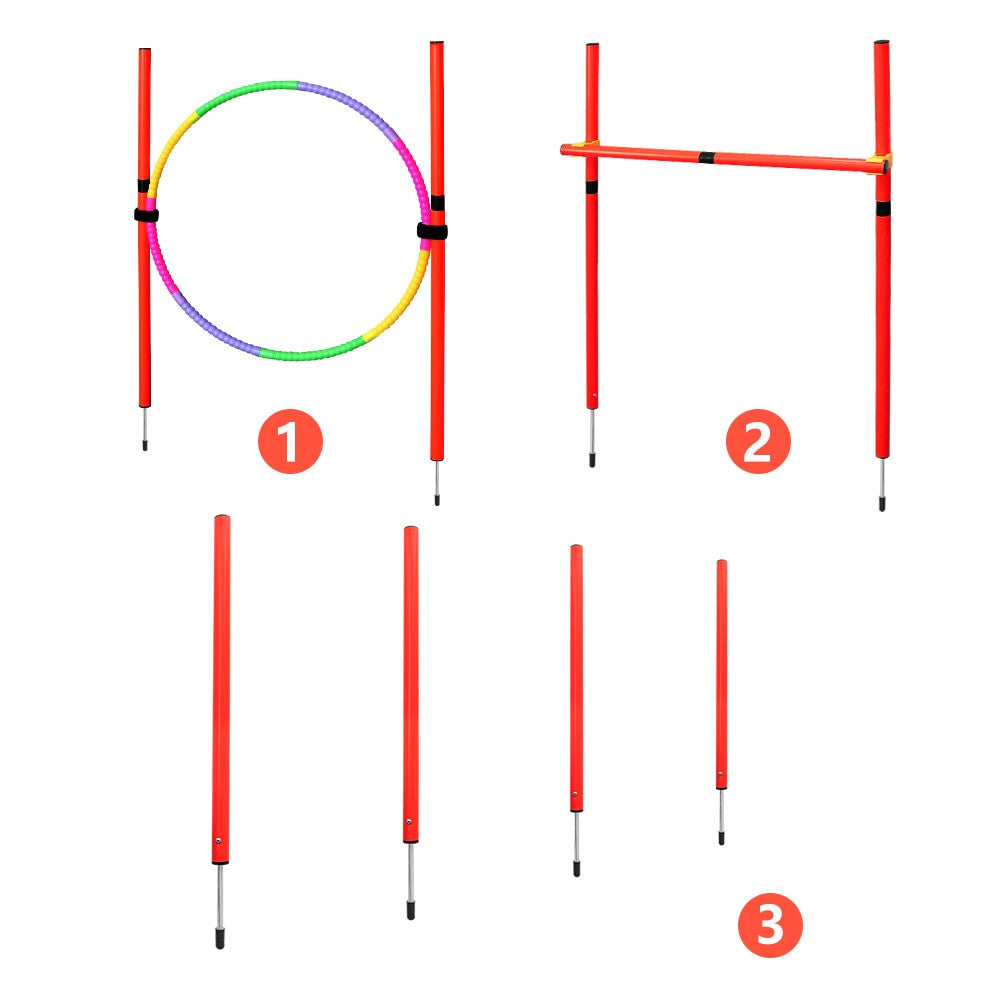 Équipement d’entraînement d’agilité pour chien-9