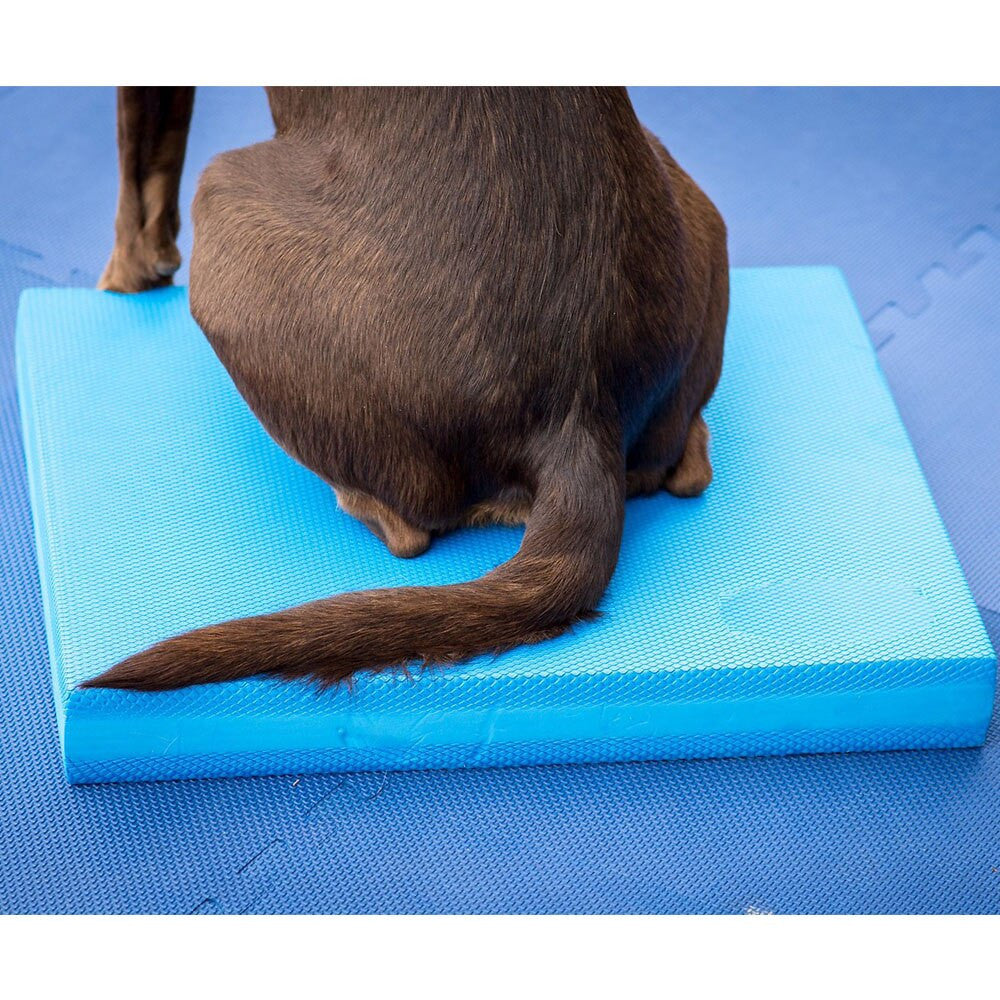 Échelle d’équilibre spécifique aux animaux de compagnie Soft Tread-3