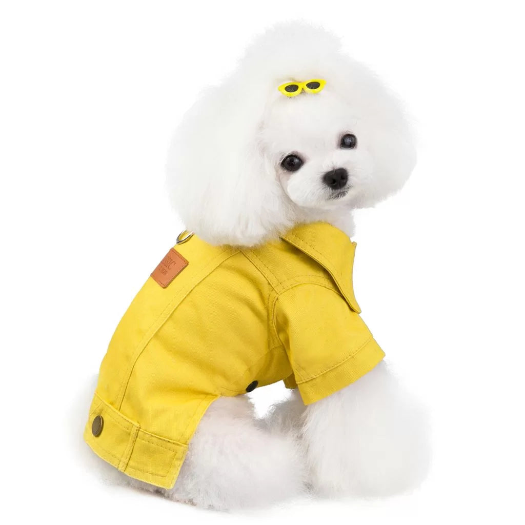 Veste pour chien Yellow Seasons par Doggy Doo Little-2