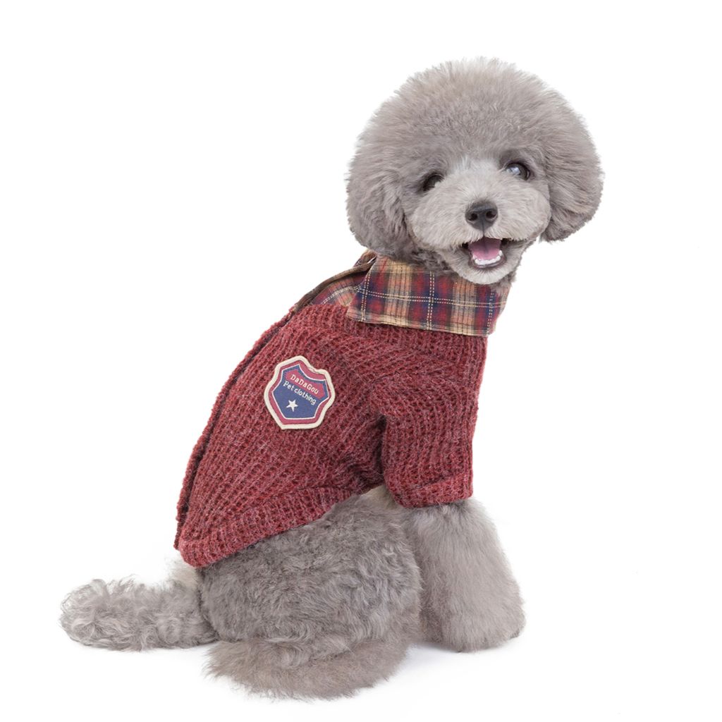 Professeur par Doggy Doo Little-2