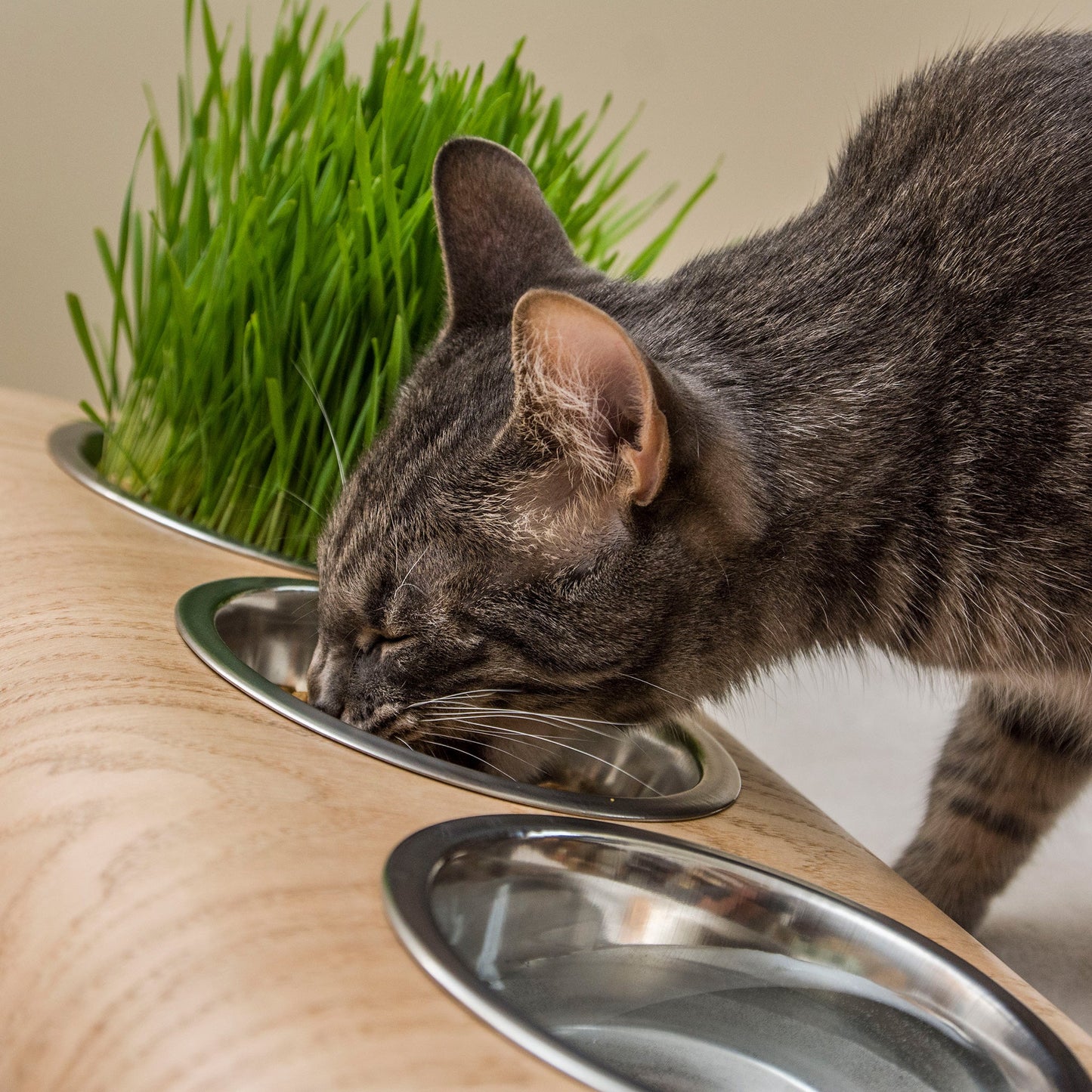 Support de bol en bois surélevé pour chat et chien avec 3 bols-2