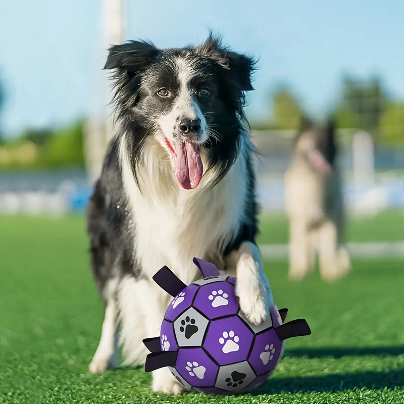 Rubber hond duurzame voetbal met riemen-3
